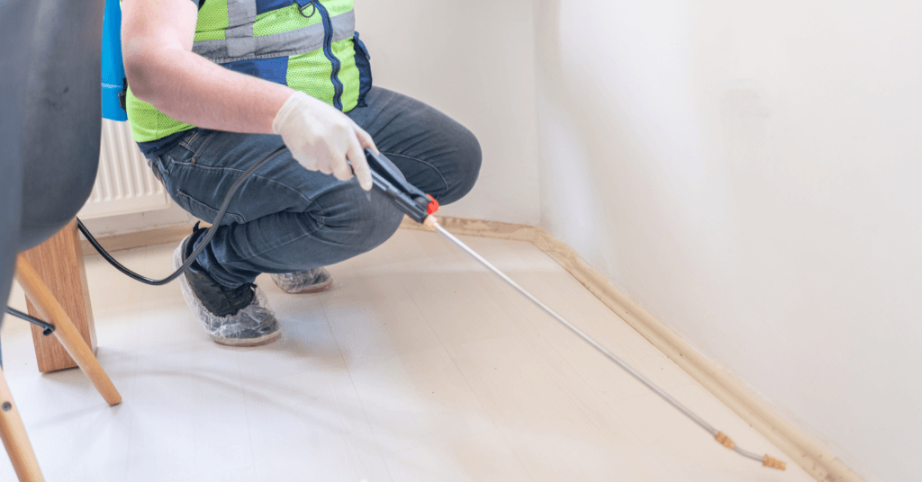 Friendly Pest Control Melbourne 1 Pest Control Melbourne friendly-pest-control-melbourne-1-pest-control-melbourne